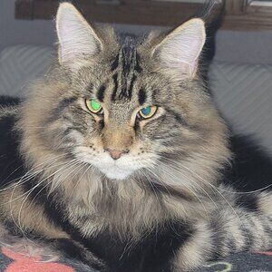 Meet your Posher, Valorie